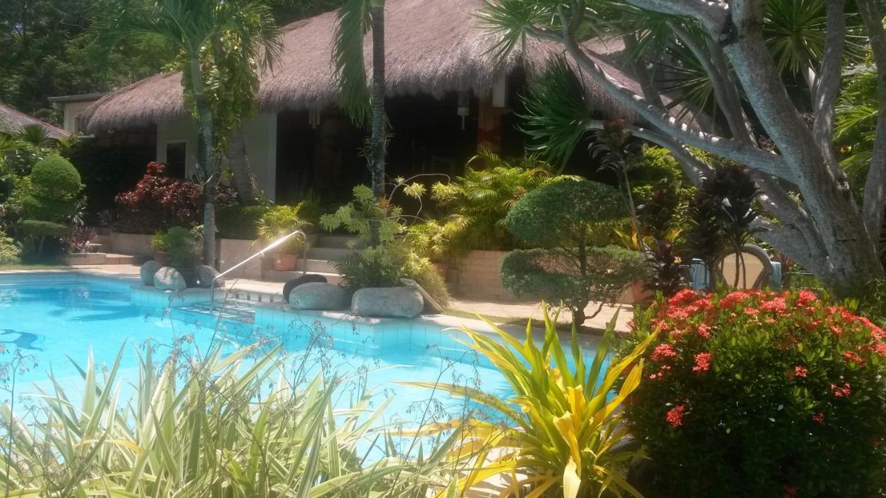 Palmhill
