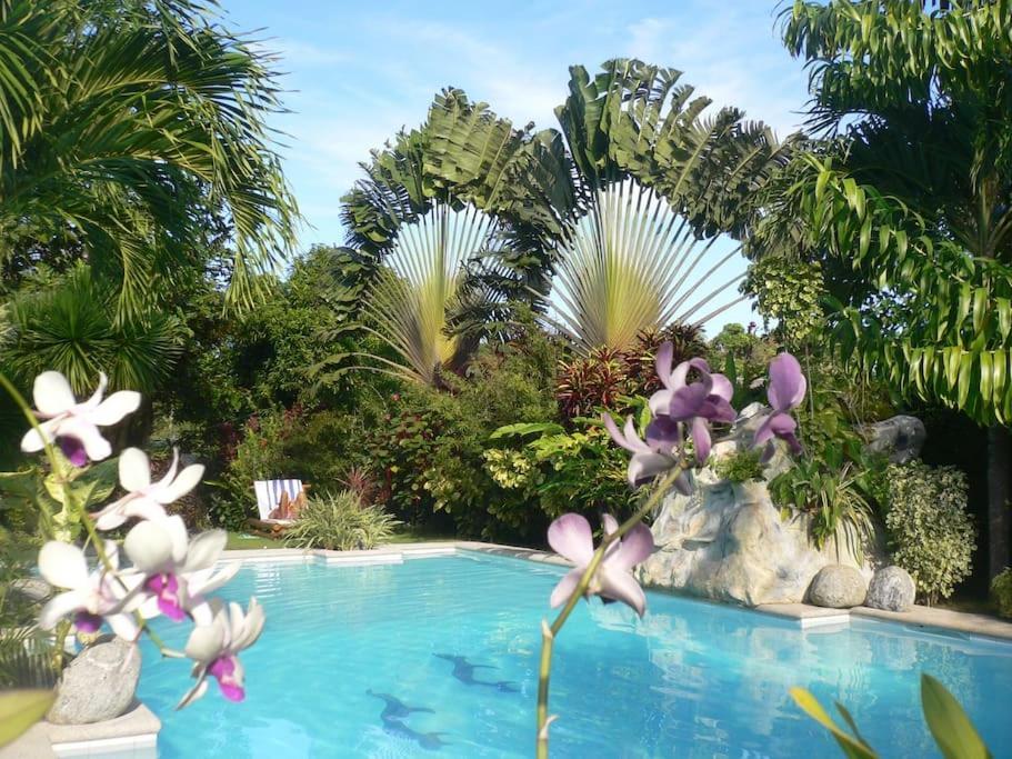 Villa Palmhill