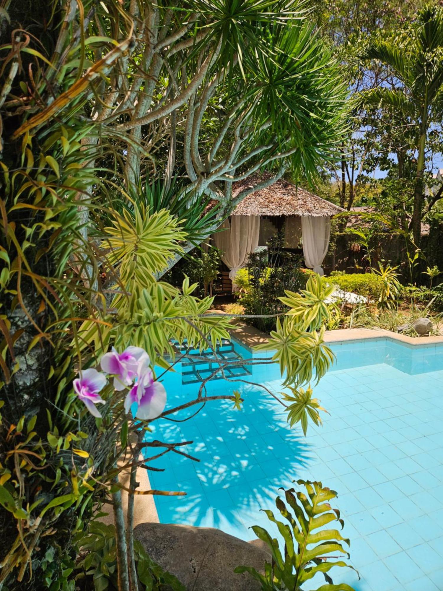 Villa Palmhill Manoc-Manoc