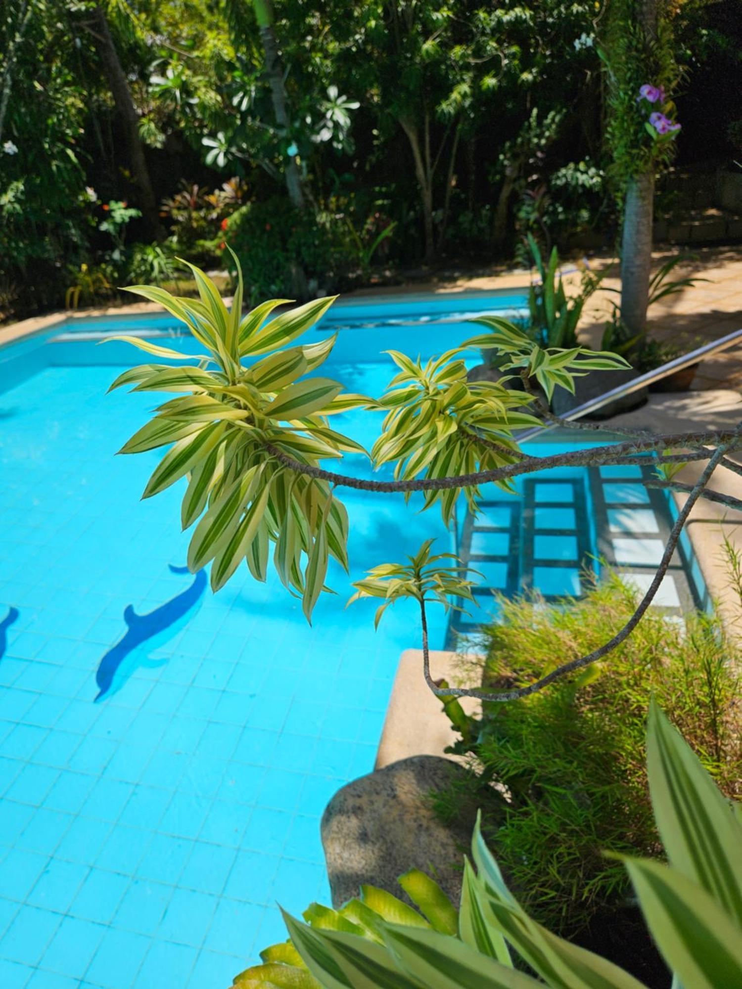 Villa Palmhill *